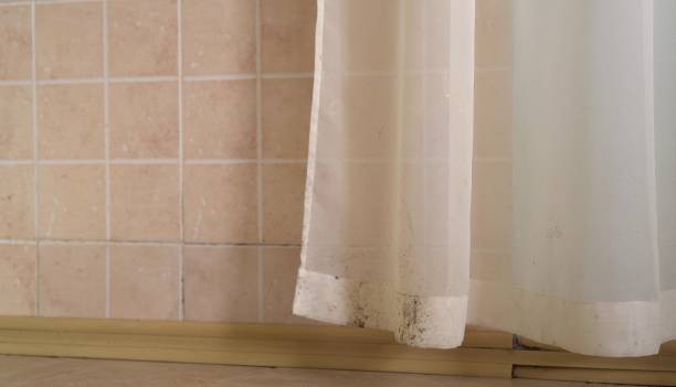 Best Residential Mold Inspection & Testing  in Ingram, TX