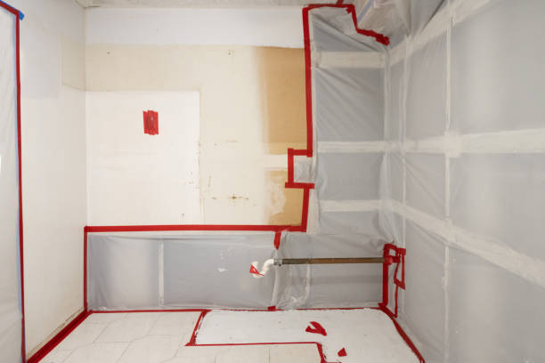 Mold Removal for HVAC Installations in Ingram, TX