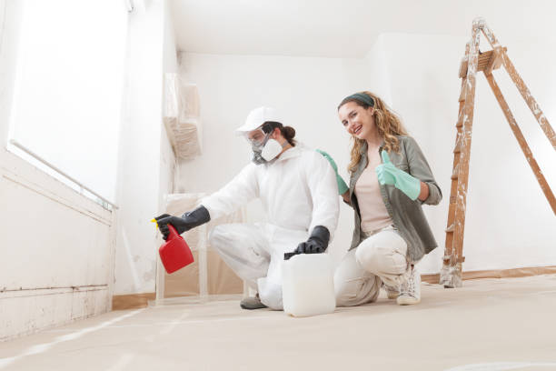 Best Attic Mold Removal  in Ingram, TX